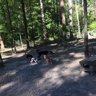 Krepps Dog Park